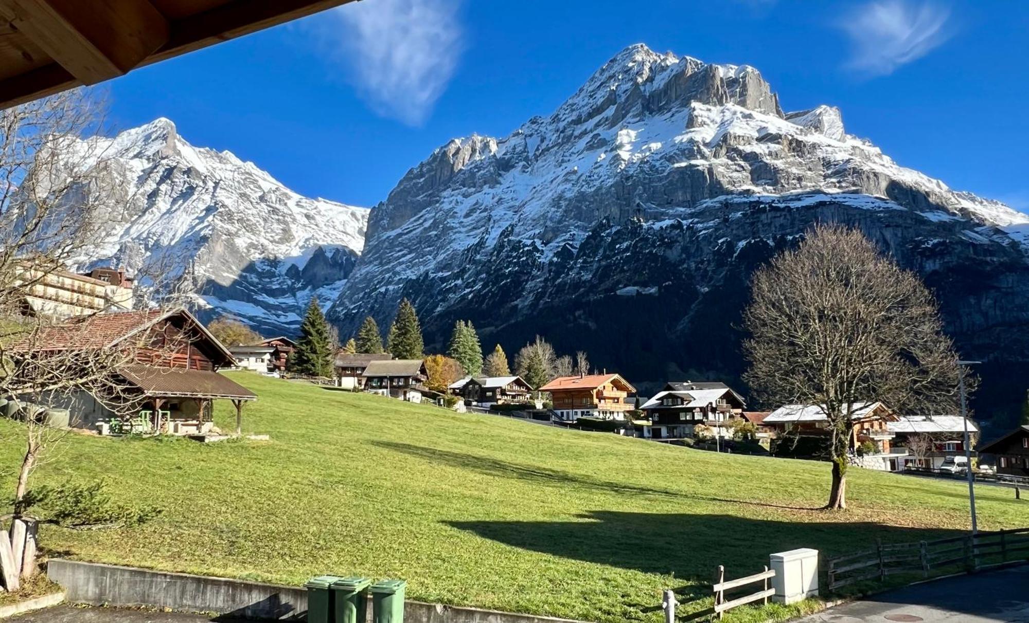 Chalet Carve - Apartments Eiger, Moench And Jungfrau 그린델발트 외부 사진