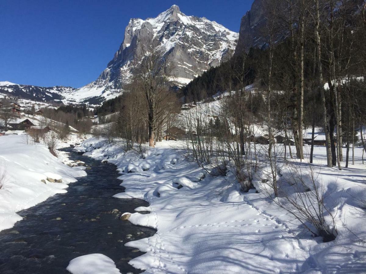 Chalet Carve - Apartments Eiger, Moench And Jungfrau 그린델발트 외부 사진