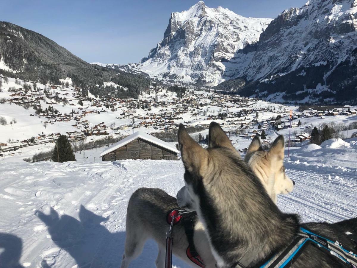 Chalet Carve - Apartments Eiger, Moench And Jungfrau 그린델발트 외부 사진