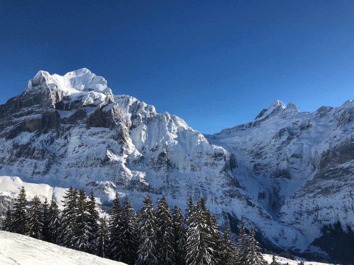 Chalet Carve - Apartments Eiger, Moench And Jungfrau 그린델발트 외부 사진
