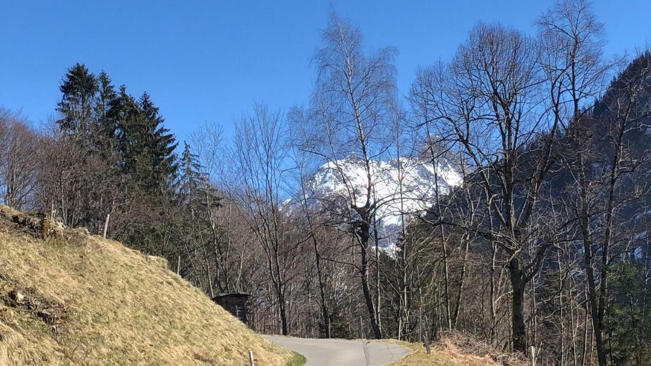 Chalet Carve - Apartments Eiger, Moench And Jungfrau 그린델발트 외부 사진