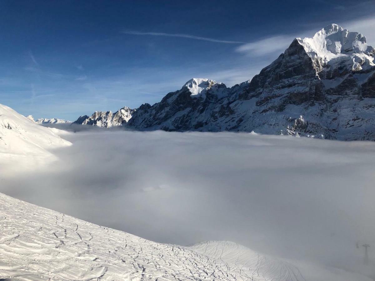 Chalet Carve - Apartments Eiger, Moench And Jungfrau 그린델발트 외부 사진