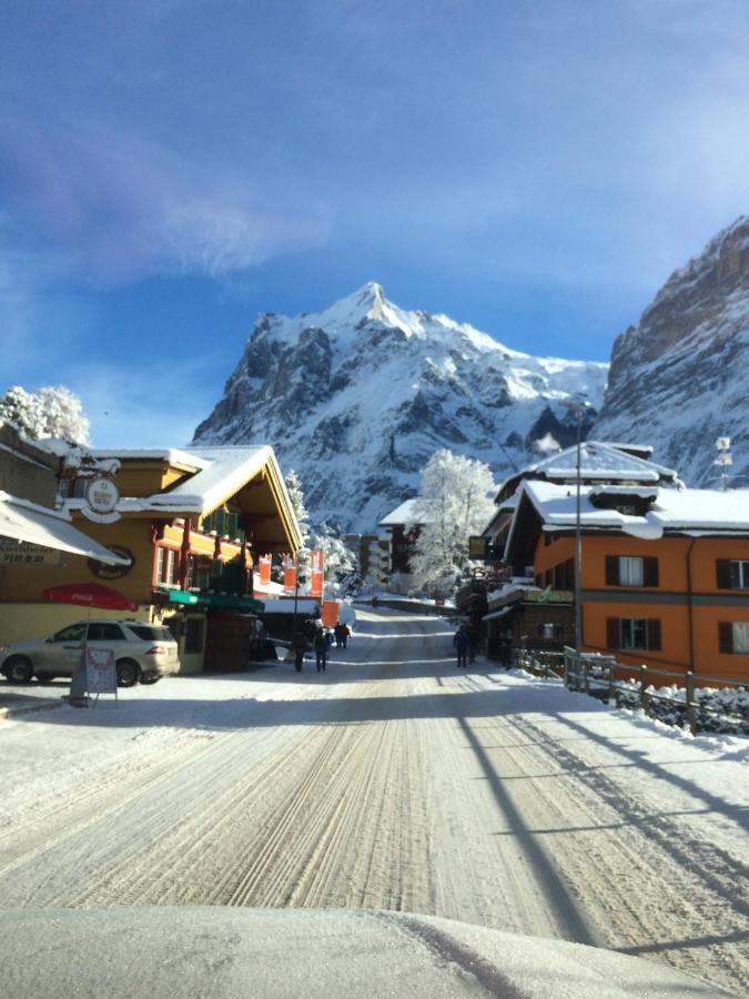 Chalet Carve - Apartments Eiger, Moench And Jungfrau 그린델발트 외부 사진