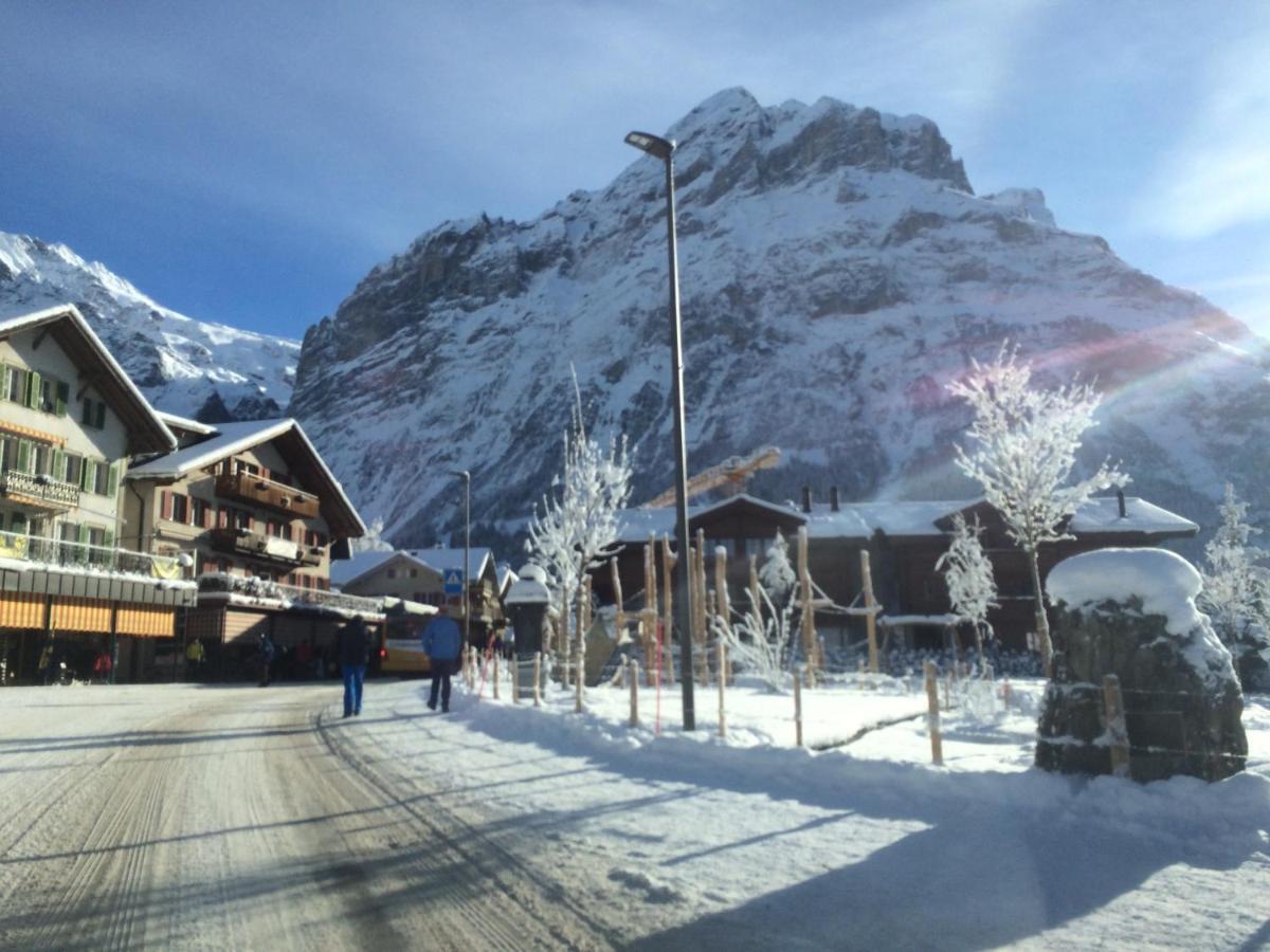 Chalet Carve - Apartments Eiger, Moench And Jungfrau 그린델발트 외부 사진